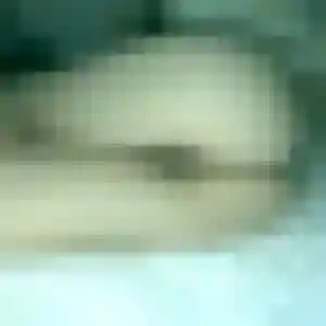 rencontre cougar à Albertville : photo de Ophelie, 19 ans - accès libre
