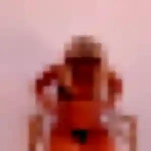 Sabrina, 30 ans, en ligne à Amnéville pour une rencontre coquine