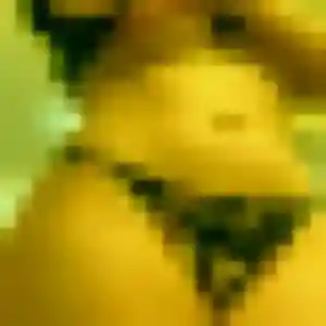 Photo de Paloma à Andernos-les-Bains (31 ans) - rencontre cougar anonyme