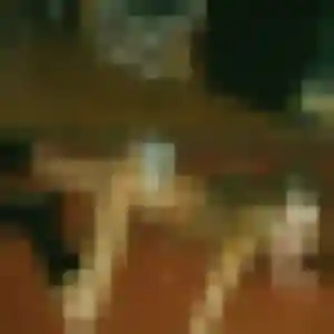 Elena de Balaruc-les-Bains, 22 ans - rencontre cougar sans prise de tête