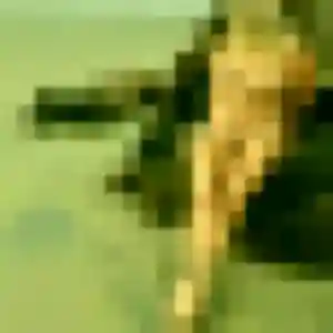 Sexy Lise, 45 ans à Balaruc-les-Bains - voir sa photo