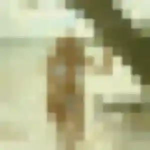 Profil de Ariane à Balma (23 ans) - rencontre cougar discret