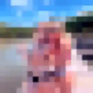 Photo de Renee à Barr (35 ans) - rencontre cougar anonyme