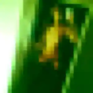 Profil de Sylviane à Bassens (34 ans) - rencontre cougar gratuit