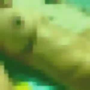 Sexy Faustine, 40 ans à Bayonne - la contacter
