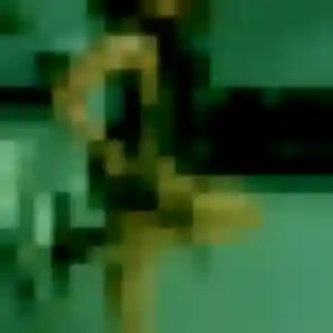 Photo de Paloma à Beaucouzé (43 ans) - rencontre cougar sans inscription