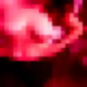 Rejoins Eglantine, 20 ans à Beauvoisin gratuitement