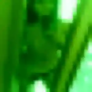 Jacqueline, 37 ans, dispo pour rencontre cougar à Bessancourt