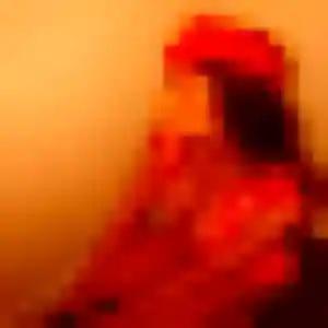 Profil de Coralie à Bethoncourt (44 ans) - rencontre cougar gratuit