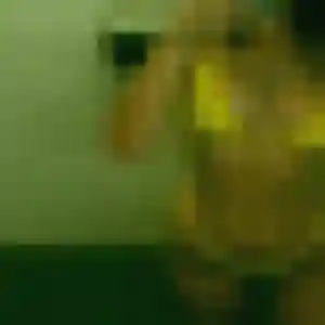 Photo perso de Elodie, 42 ans à Blanzy - rencontre sans lendemain