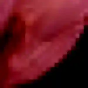 Photo de Aurelie à Boussy-Saint-Antoine (22 ans) - rencontre cougar anonyme