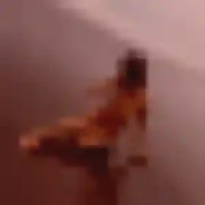 Marie-Therese, 36 ans, dispo pour rencontre cougar à Bressuire