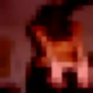 Photo privée de Delia, 28 ans à Buc - rencontre sans lendemain