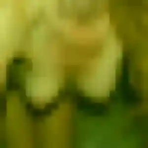 Xaviere, 41 ans, connectée à Cagnes-sur-Mer pour une rencontre coquine