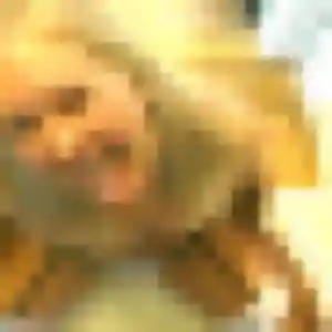 Photo exclusive de Estee, 35 ans à Carros - plan discret