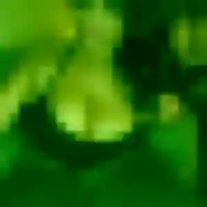 Photo perso de Marie-Laure, 27 ans à Carvin - rencontre coquine