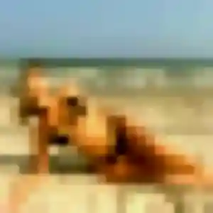 Khadija, 45 ans, disponible à Caudebec-lès-Elbeuf pour un rencontre cougar