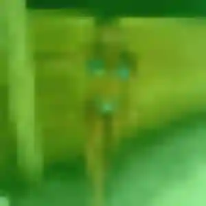 Charmante Magalie, 44 ans à Chalon-sur-Saône - voir sa photo