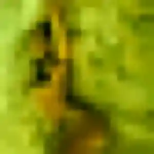Martine (34 ans) à Chalonnes-sur-Loire cherche un rencontre cougar rapidement