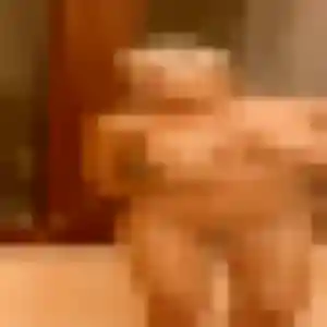 Sexy Isabella, 39 ans à Chatuzange-le-Goubet - voir sa photo