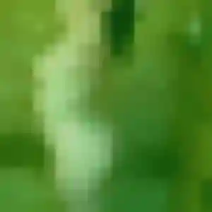 Gaelle, fille de 32 ans cherche rencontre cougar à Chaumes-en-Retz