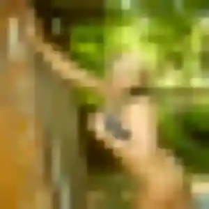 Lilou, fille de 38 ans cherche rencontre cougar à Chauray