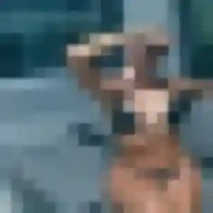 Photo privée de Christine, 30 ans à Clisson - rencontre coquine