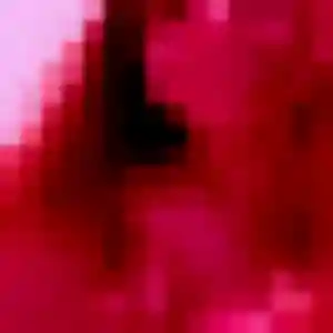 Sexy Ameline, 19 ans à Coulommiers - la contacter