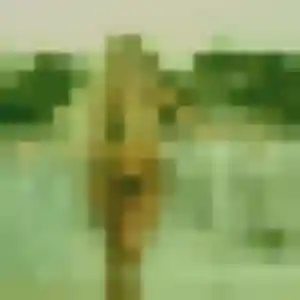 Photo privée de Monique, 34 ans à Coulommiers - rencontre coquine