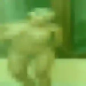 Meriem, 44 ans, connectée à Croissy-sur-Seine pour une rencontre coquine