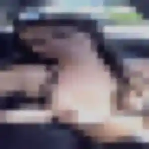 Photo sexy de Anna, 32 ans à Douvaine - rencontre sans lendemain