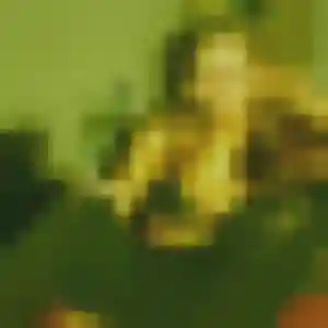 Rejoins Lisette, 22 ans à Étréchy en t'inscrivant