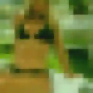 Wanda, femme de 30 ans cherche rencontre cougar à Évreux