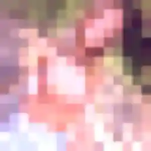 Photo perso de Valerie, 45 ans à Fillière - rencontre coquine