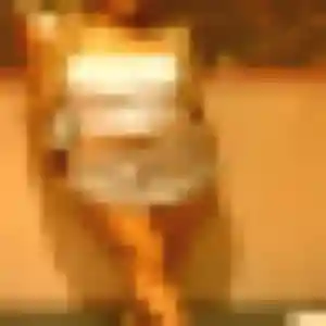 Sexy Imane, 21 ans à Foix - découvrir son profil