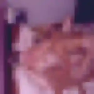 Photo de Delia à Fort-de-France (21 ans) - rencontre cougar sans inscription