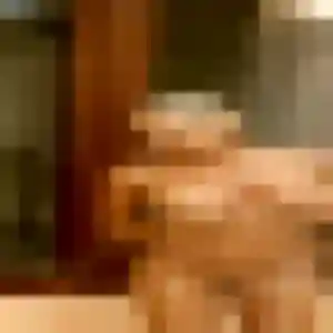 Photo privée de Hilary, 22 ans à Fresnes-sur-Escaut - plan discret