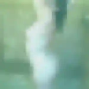 Photo sexy de Djamila, 25 ans à Gan - rencontre coquine