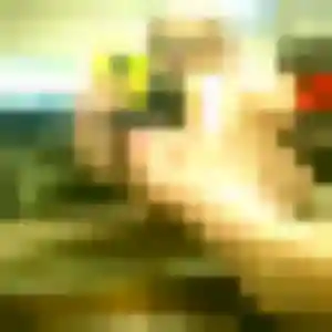 Photo privée de Lola, 34 ans à Gonfreville-l'Orcher - rencontre coquine