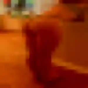 Sandrine, 33 ans, disponible à Gournay-sur-Marne pour un rencontre cougar