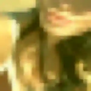 Dorothee, 36 ans, connectée à Guingamp pour une rencontre coquine
