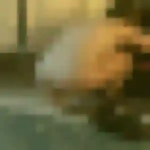 rencontre cougar à Izon : photo de Pascale, 33 ans - accès libre