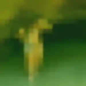 Photo perso de Anne, 21 ans à Jassans-Riottier - rencontre coquine