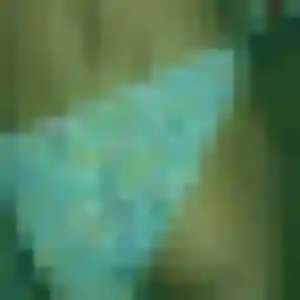 Profil de Diane à La Balme-de-Sillingy (30 ans) - rencontre cougar discret