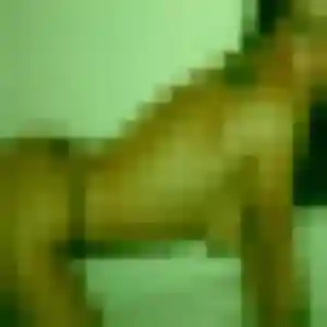 Lucie, fille de 31 ans cherche rencontre cougar à La Ferté-sous-Jouarre