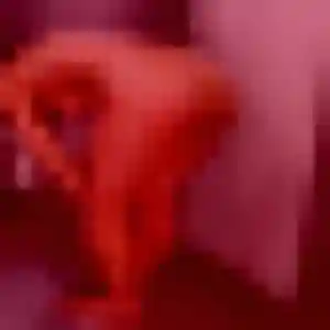 Sylviane, 37 ans, cherche un rencontre cougar à La Garnache