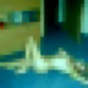 Belle Zineb, 37 ans à La Motte-Servolex - voir sa photo