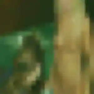 Jolie Elena, 30 ans à La Tronche - la contacter