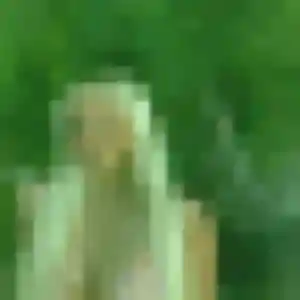 Daphne, femme de 33 ans veut rencontre cougar à Lallaing