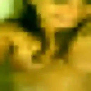Profil de Veronique à Lambersart (44 ans) - rencontre cougar discret